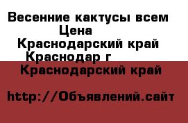 Весенние кактусы всем! › Цена ­ 100 - Краснодарский край, Краснодар г.  »    . Краснодарский край